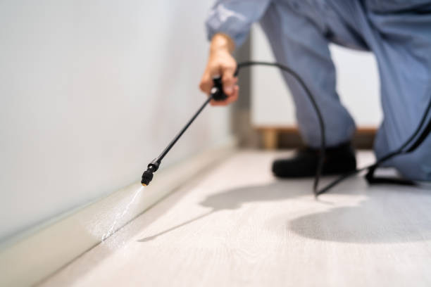Licensed Mosquito Control service in El Dorado, AR - Show Me Pest Control