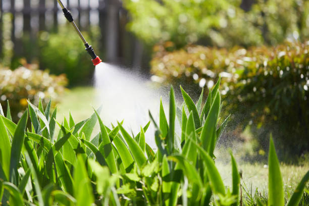 24/7 Emergency Mosquito Control experts in El Dorado, AR