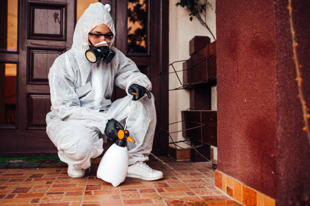 Reliable Mosquito Control contractor in El Dorado, AR by Show Me Pest Control