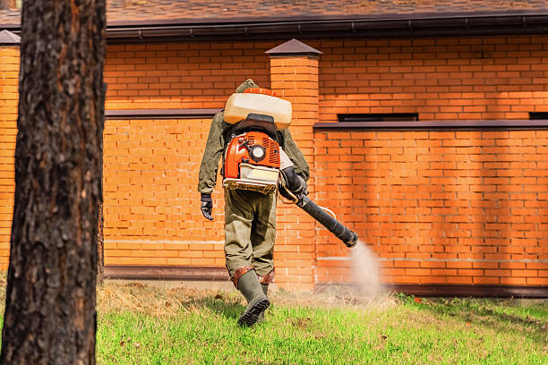 Top rated local Mosquito Control specialists in El Dorado, AR